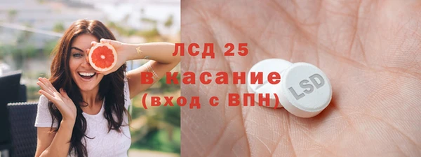 индика Беломорск