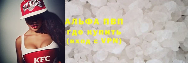 индика Беломорск