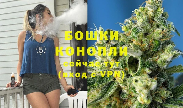 индика Беломорск