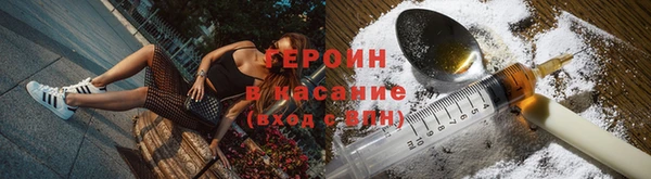 индика Беломорск