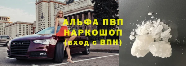 индика Беломорск