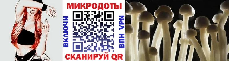 Псилоцибиновые грибы Psilocybe  Фролово 